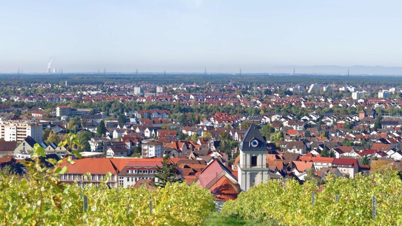 Grosse Ferienwohnung, Apartment In Leimen Wehome Komfort Exteriör bild